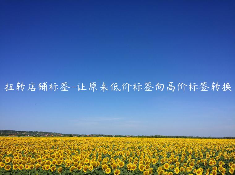 扭轉(zhuǎn)店鋪標(biāo)簽-讓原來(lái)低價(jià)標(biāo)簽向高價(jià)標(biāo)簽轉(zhuǎn)換